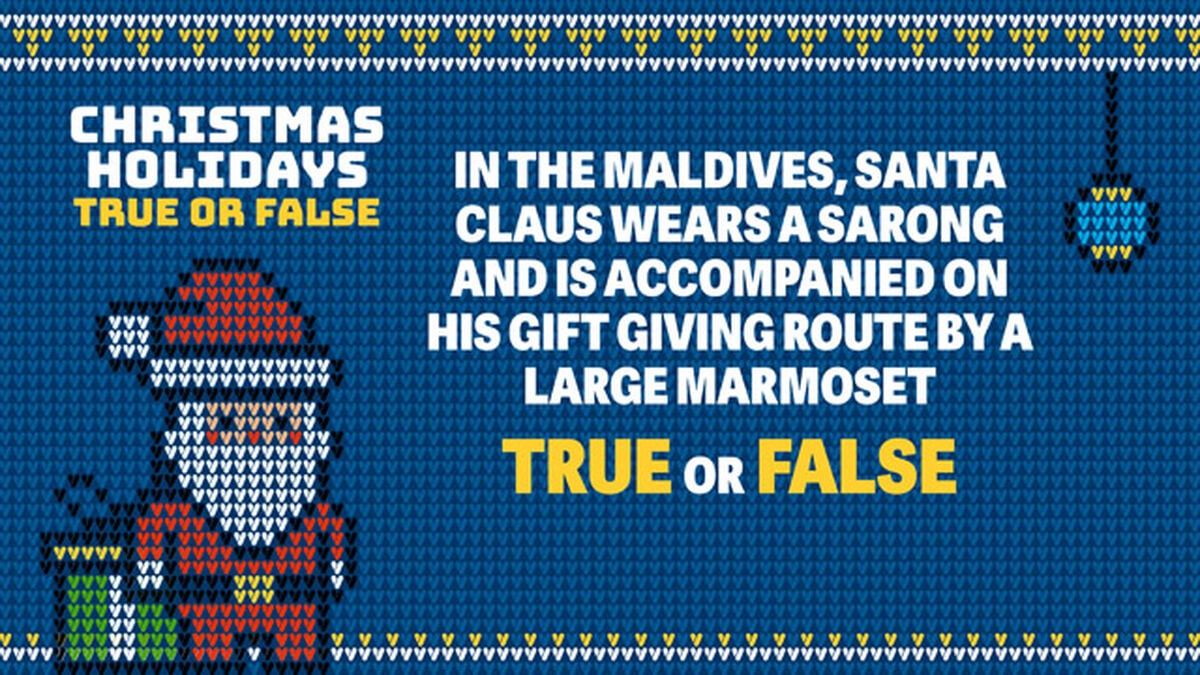 Christmas Holidays True or False image number null